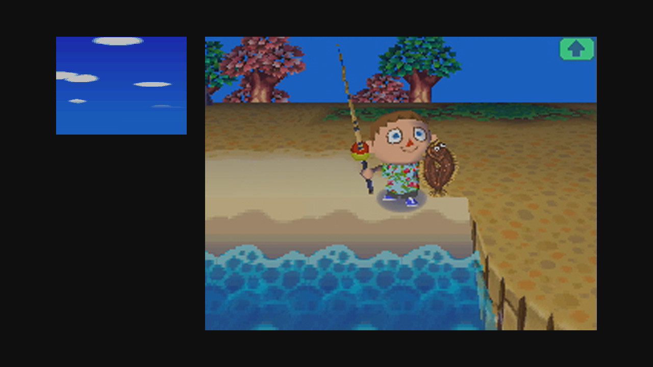 Animal crossing shop wild world eshop