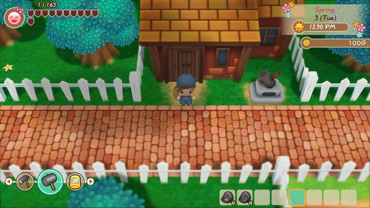 friends of mineral town switch north america