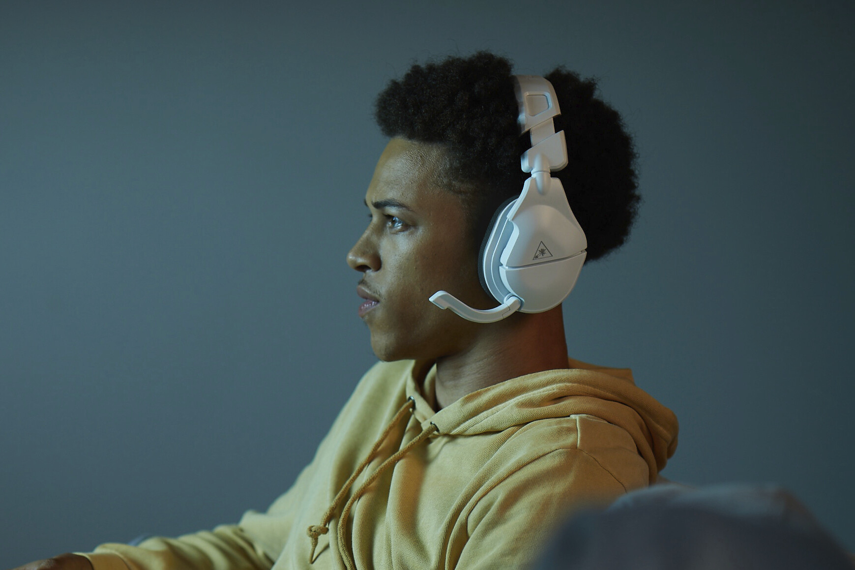 turtle beach stealth 700 xbox one on ps4