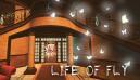 Life of Fly Impressions (Xbox Series)