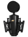 Neat King Bee II Review