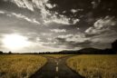 More Thoughts From Me: At A Gaming Crossroads